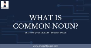 What is a Common Noun? (Definition & Examples) | Best Guide 2022
