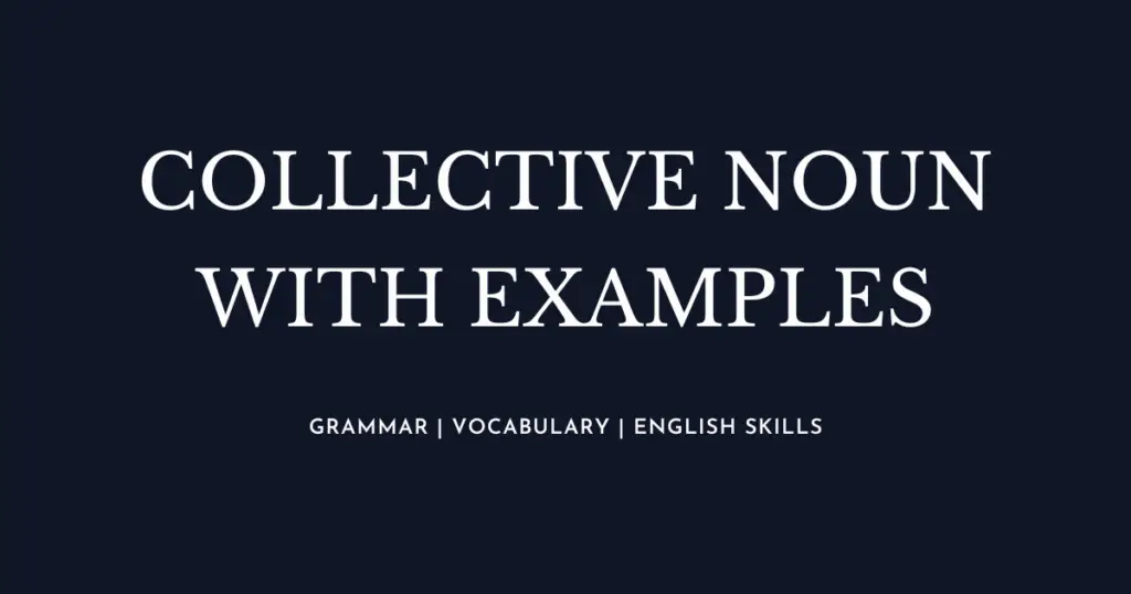 Collective Noun with examples